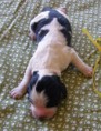 /album/fotogalerie-stenat/p6080144-jpg/