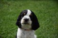 /album/stenata-6-5-tydne/dsc-0446-jpg/